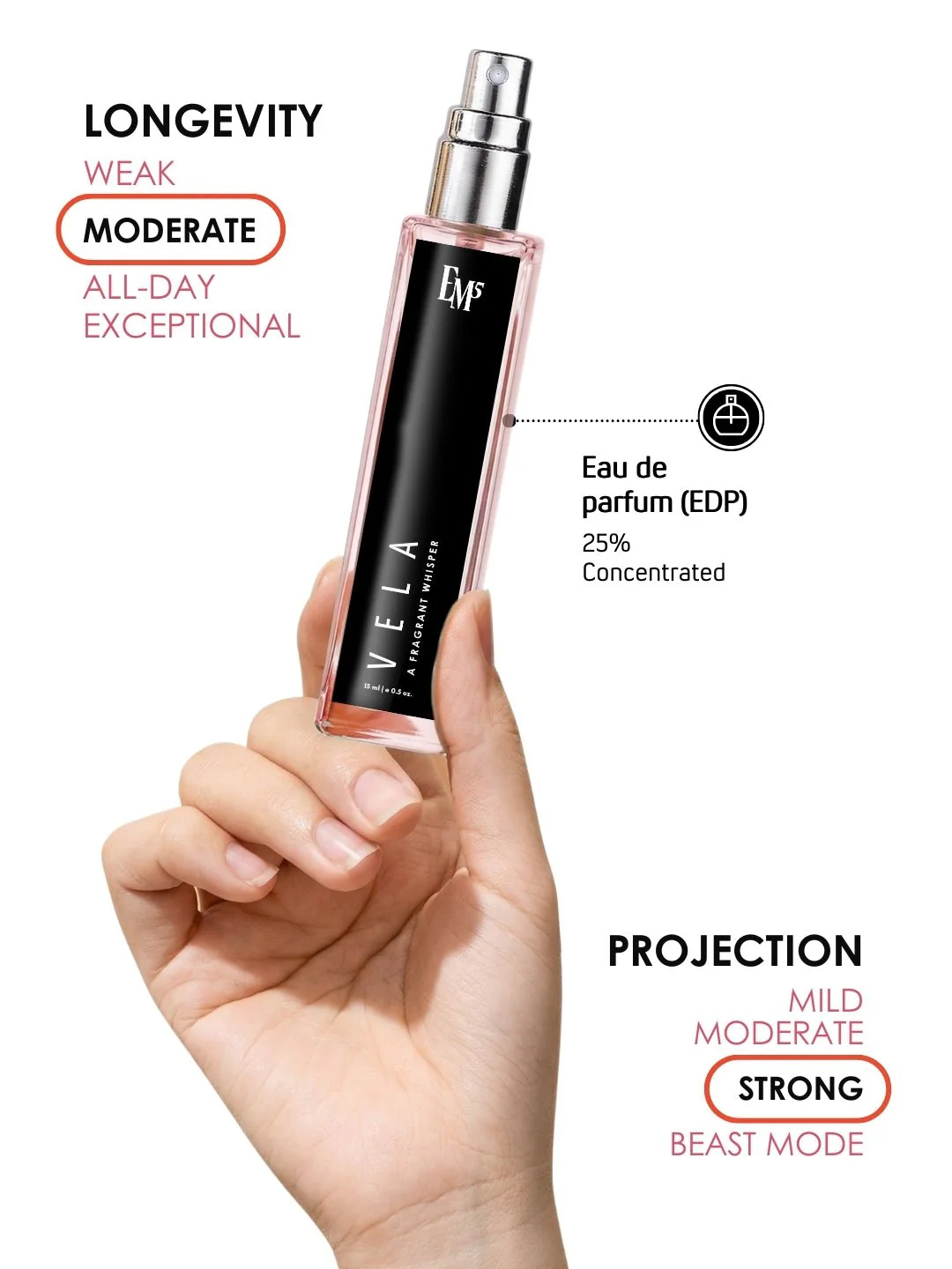 Vela | Eau De Parfum - Image 8